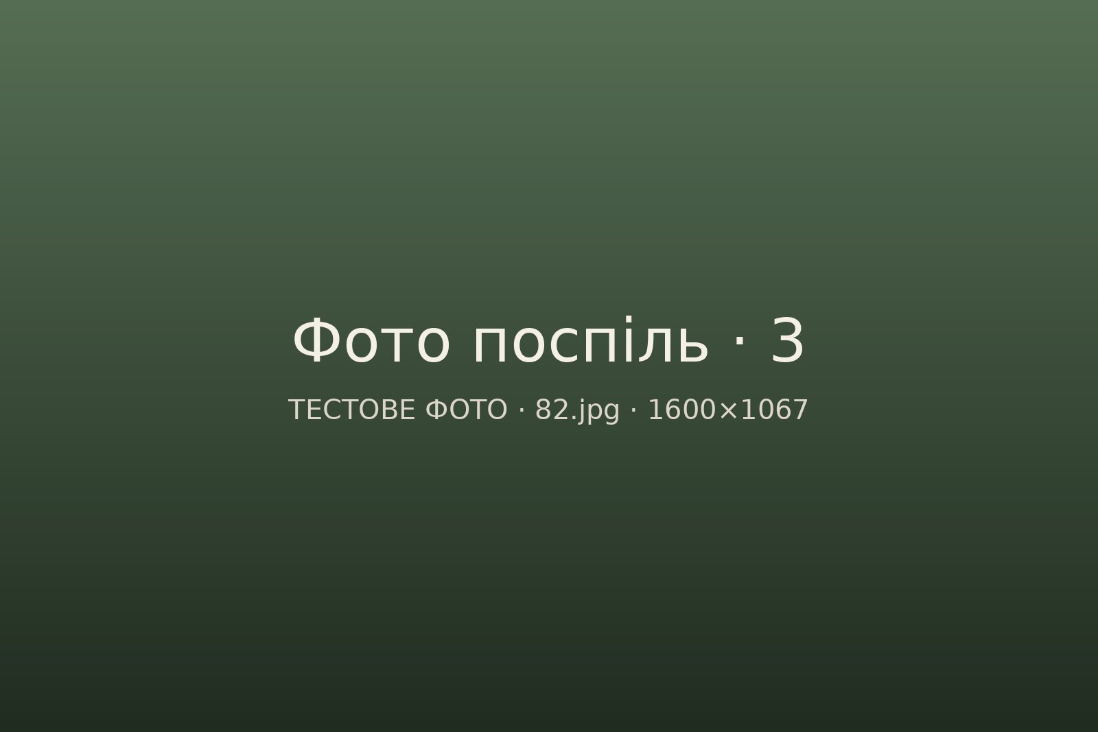 Варіант 8 · Кілька фото поспіль: 80.jpg (панорама), 81.jpg — без підписів, 82.jpg — з підписом. Натисніть на фото, щоб відкрити на весь екран і гортати стрілками.